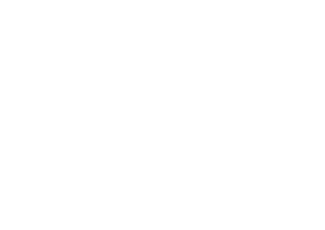 LOUISPION