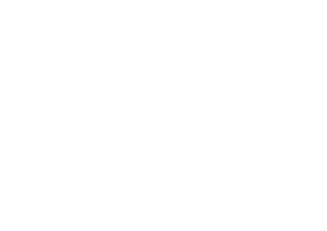 LVMH